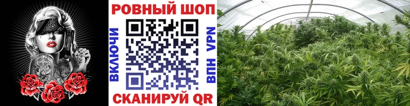 Где купить Олонец Марихуана СОЛЬ ГАШ