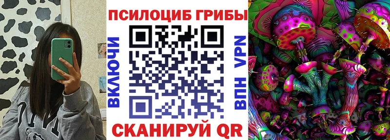 Галлюциногенные грибы мухоморы  даркнет сайт  Олонец 